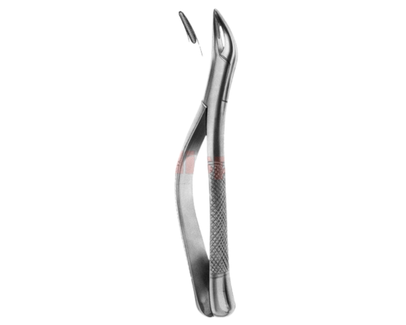 extracting-forceps-american-pattern-y-02 extracting-forceps-american-pattern-y-02 - Image 1
