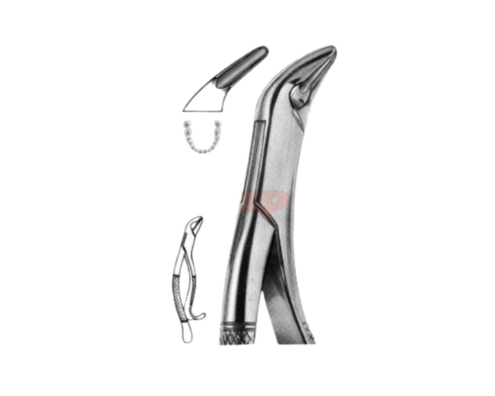 extracting-forceps-american-pattern-y-04 extracting-forceps-american-pattern-y-04 - Image 1