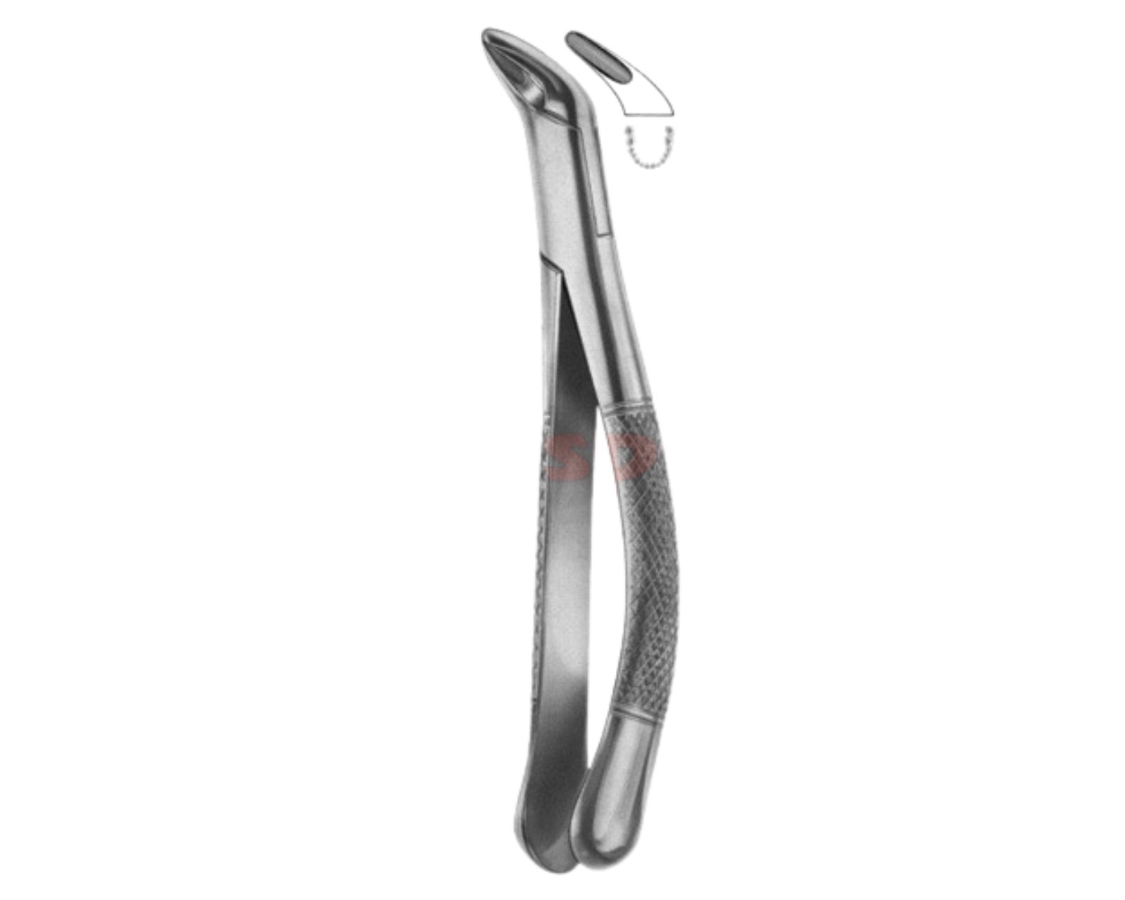 extracting-forceps-american-pattern-z-05 extracting-forceps-american-pattern-z-05 - Image 1