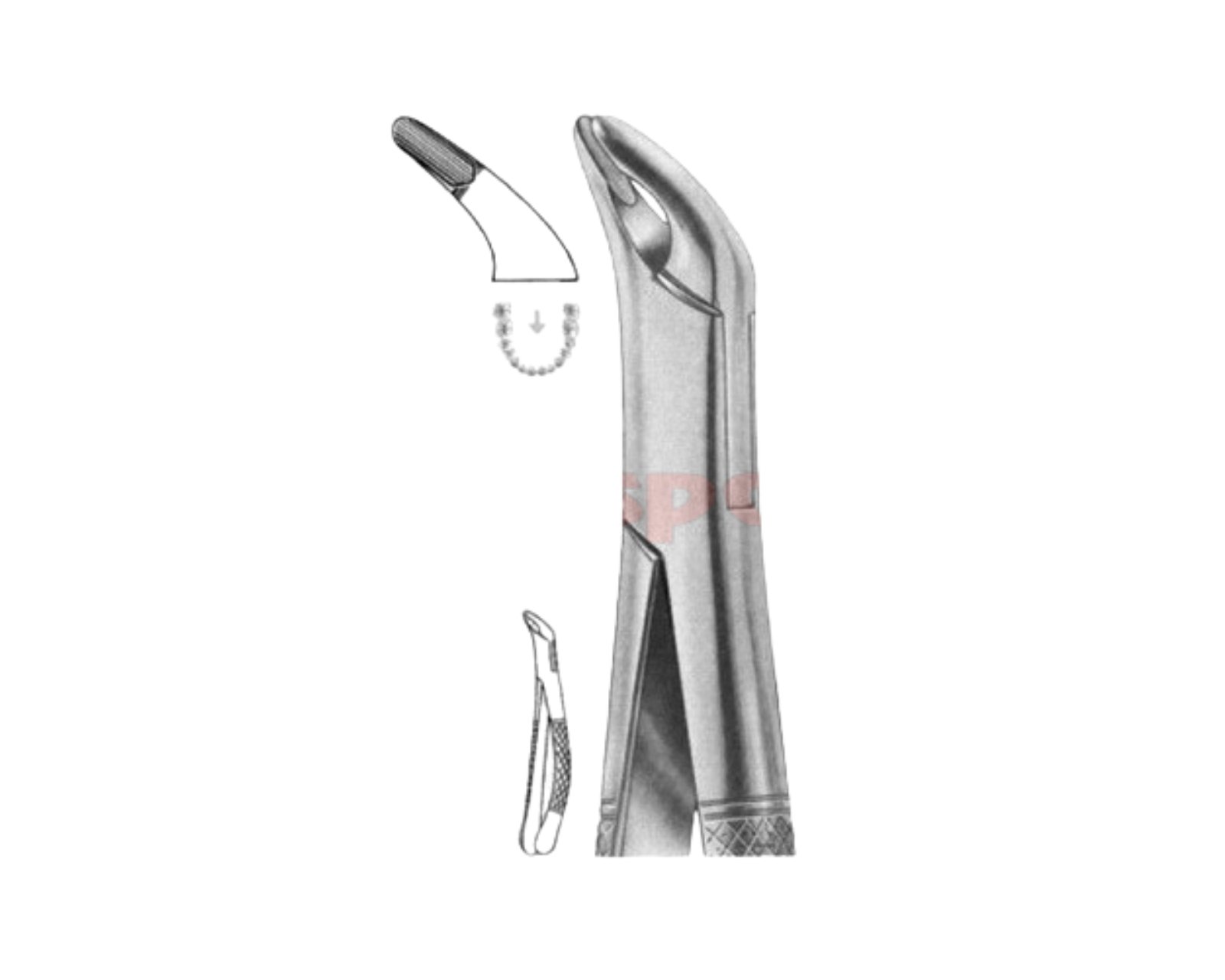 extracting-forceps-american-pattern-z-06 extracting-forceps-american-pattern-z-06 - Image 1