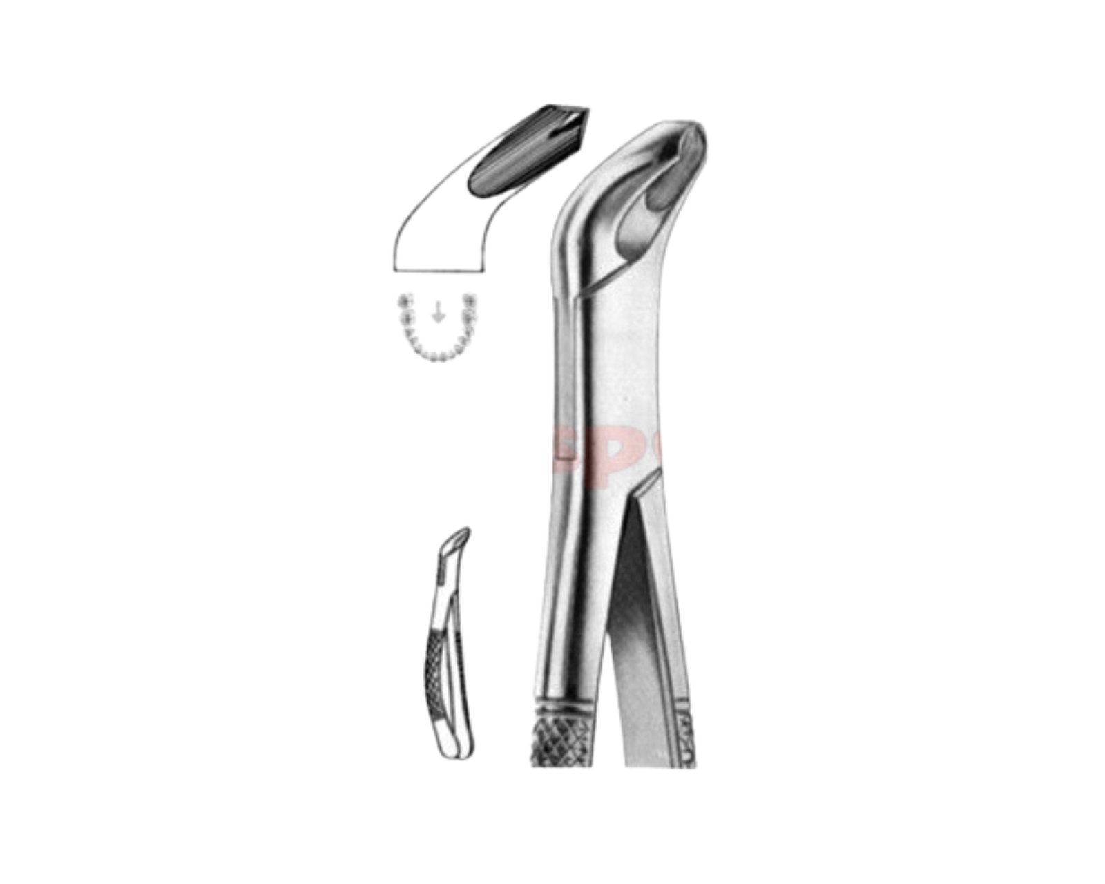 extracting-forceps-american-pattern-z-13 extracting-forceps-american-pattern-z-13 - Image 1