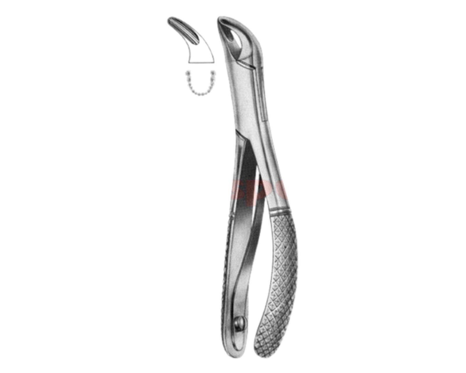 extracting-forceps-american-pattern-z-30 extracting-forceps-american-pattern-z-30 - Image 1